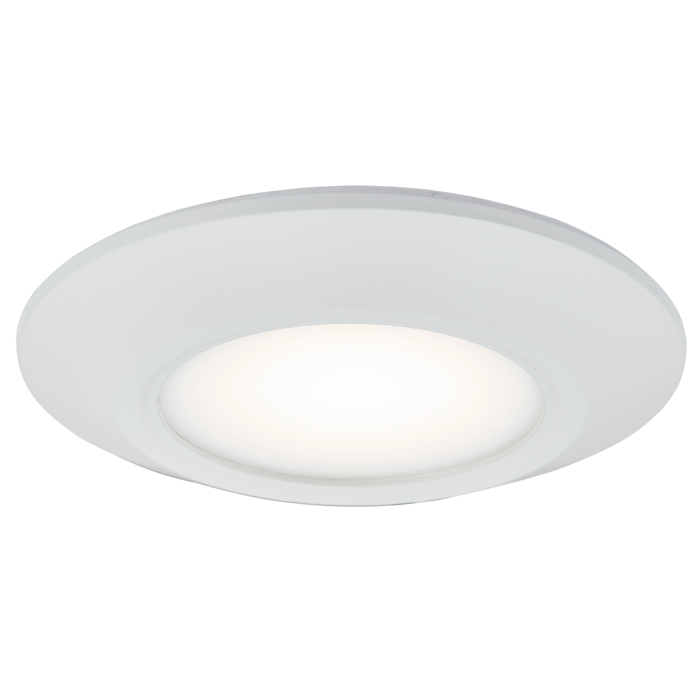 Wet Location Low Profile Flushmount